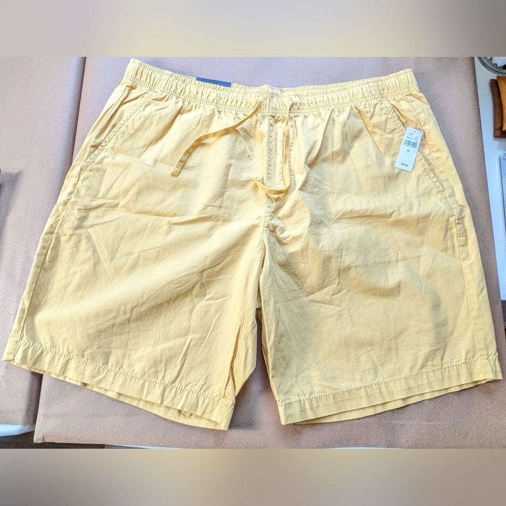Gap Shorts (Size XL)